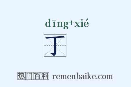 丁鞵是什么意思的图片